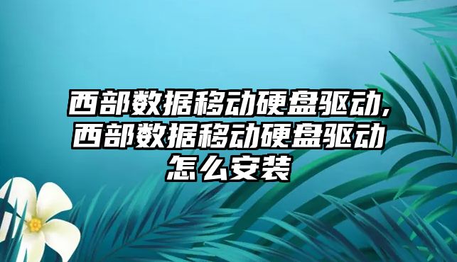 玉翠科技網(wǎng)