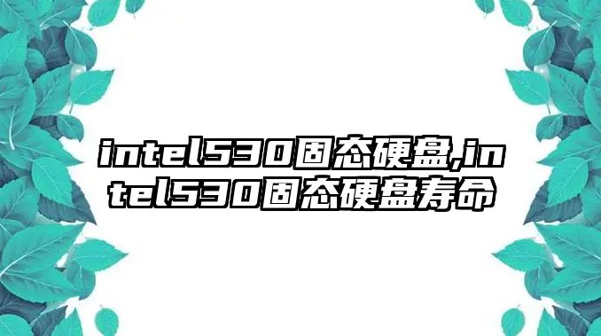 intel530固態(tài)硬盤(pán),intel530固態(tài)硬盤(pán)壽命