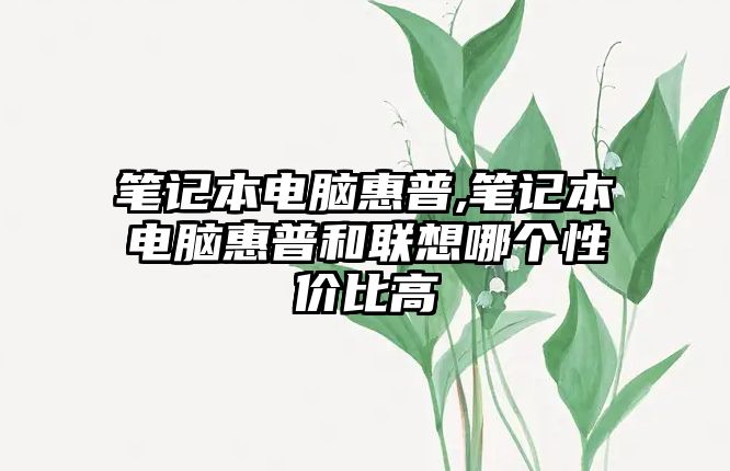 筆記本電腦惠普,筆記本電腦惠普和聯想哪個性價比高