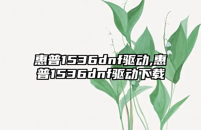 惠普1536dnf驅(qū)動(dòng),惠普1536dnf驅(qū)動(dòng)下載