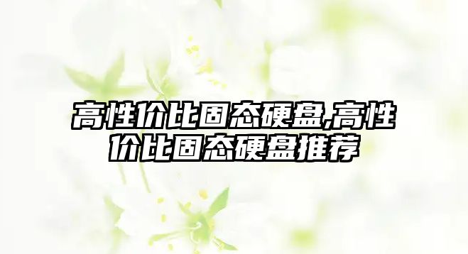 高性價比固態硬盤,高性價比固態硬盤推薦