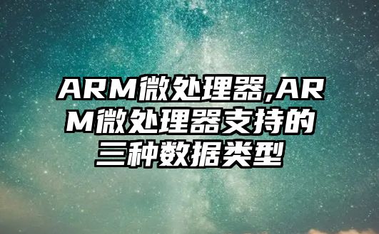 ARM微處理器,ARM微處理器支持的三種數據類型