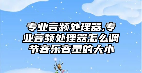 專業(yè)音頻處理器,專業(yè)音頻處理器怎么調節(jié)音樂音量的大小